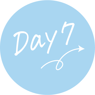Day 7
