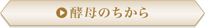 酵母のちから