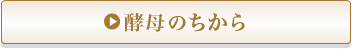 酵母のちから