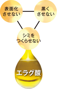 表面化させない 黒くさせない シミを作らせない エラグ酸