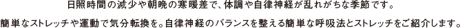 日照時間の減少や朝晩の寒暖差で、体調や自律神経が乱れがちな季節です。簡単なストレッチや運動で気分転換を。自律神経のバランスを整える簡単な呼吸法とストレッチをご紹介します。