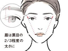 眉は黒目の 2/3程度の 太さに