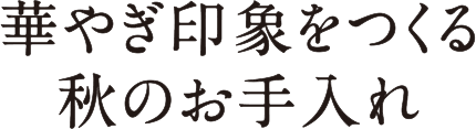 華やぎ印象をつくる 秋のお手入れ