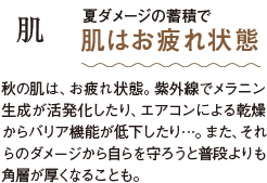 肌 夏ダメージの蓄積で肌はお疲れ状態 秋の肌は、お疲れ状態。紫外線でメラニン生成が活発化したり、エアコンによる乾燥からバリア機能が低下したり…。また、それらのダメージから自らを守ろうと普段よりも角層が厚くなることも。
              
