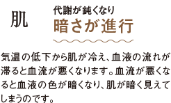 肌 代謝が鈍くなり 暗さが進行 気温の低下から肌が冷え、血液の流れが滞ると血流が悪くなります。血流が悪くなると血液の色が暗くなり、肌が暗く見えてしまうのです。