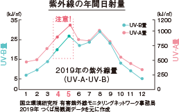 紫外線の年間日射量