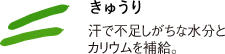 きゅうり汗で不足しがちな水分とカリウムを補給。