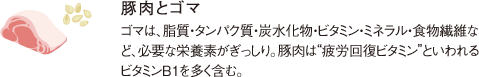 豚肉とゴマゴマは、脂質・タンパク質・炭水化物・ビタミン・ミネラル・食物繊維など、必要な栄養素がぎっしり。豚肉は“疲労回復ビタミン”といわれるビタミンB1を多く含む。