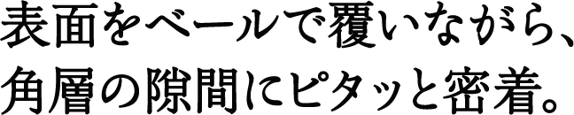 表面をベールで覆いながら、角層の隙間にピタッと密着。