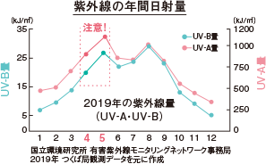 紫外線の年間日射量
