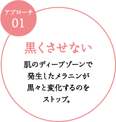 黒くさせない肌のディープゾーンで発生したメラニンが黒々と変化するのをストップ。