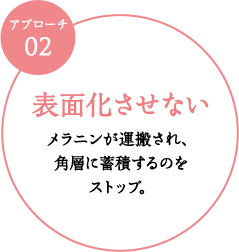表面化させないメラニンが運搬され、角層に蓄積するのをストップ。
