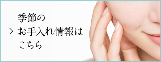 季節のお手入れ情報はこちら