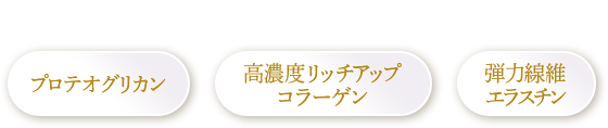 サントリー独自のプレミアムな３成分に組み合わせ、プロテオグリかん、高濃度リッチアップ、弾力繊維エラスチン