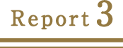 report3