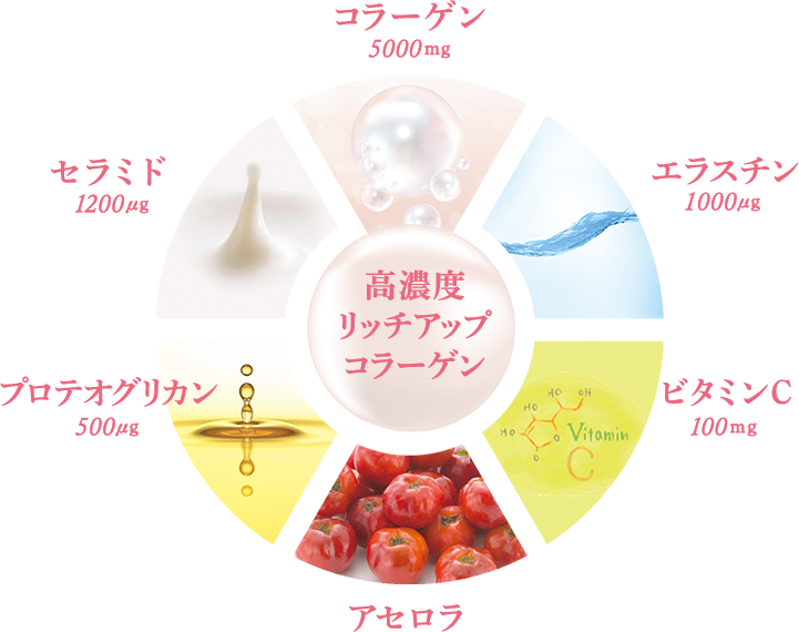 高濃度リッチアップコラーゲン コラーゲン5000mg エラスチン1000μg ビタミンC100mg アセロラ プロテオグリカン500μg セラミド 1200μg