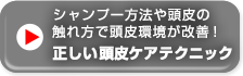 シャンプー方法や頭皮の触れ方で頭皮環境が改善！正しい頭皮ケアテクニック