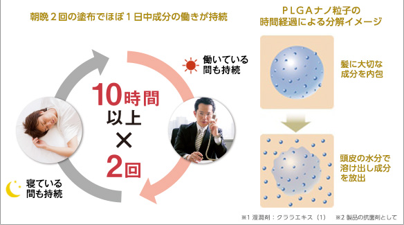 朝晩２回の塗布でほぼ１日中成分の働きが持続　働いている間も持続　寝ている間も持続　10時間以上×2回ＰＬＧＡナノ粒子の時間経過による分解イメージ　髪に大切な成分を内包　頭皮の水分で溶け出し成分を放出※1 湿潤剤：クララエキス（1）　※2 製品の抗菌剤として