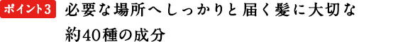 ポイント3　必要な場所へしっかりと届く髪に大切な約４０種の成分