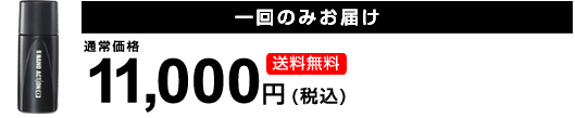 一回のみお届け　送料無料　通常価格　11,000円（税込）