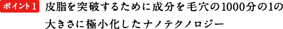 ポイント1　皮脂を突破するために成分を毛穴の1000分の1の大きさに極小化したナノテクノロジー