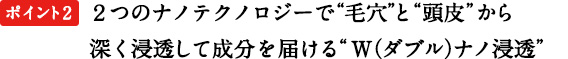 ポイント2　２つのナノテクノロジーで“毛穴”と“頭皮”から深く浸透して成分を届ける“Ｗ（ダブル）ナノ浸透”