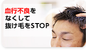 血行不良をなくして抜け毛をSTOP　詳しくはこちら＞＞
