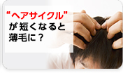 “ヘアサイクル”が短くなると薄毛に？　詳しくはこちら＞＞