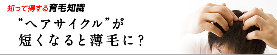 知って得する育毛知識　“ヘアサイクル”が短くなると薄毛に？
