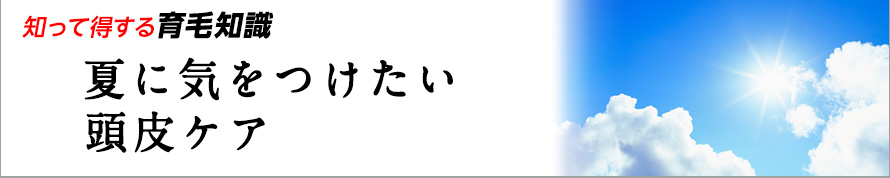 知って得する育毛知識　夏に気をつけたい頭皮ケア