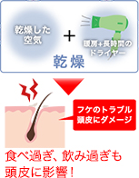 乾燥した空気+暖房+長時間のドライヤー乾燥フケのトラブル頭皮にダメージ食べ過ぎ、飲み過ぎも頭皮に影響!