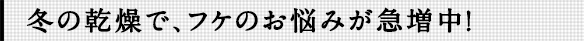 冬の乾燥で、フケのお悩みが急増中!