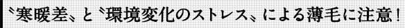 〝寒暖差〟と〝環境変化のストレス〟による薄毛に注意!
