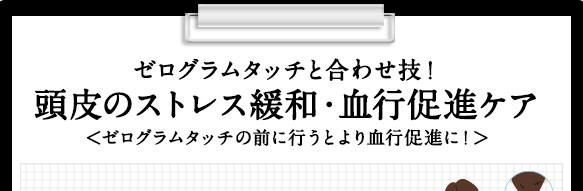 ゼログラムタッチと合わせ技!頭皮のストレス緩和・血行促進ケア<ゼログラムタッチの前に行うとより血行促進に!>