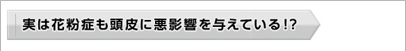 実は花粉症も頭皮に悪影響を与えている！？