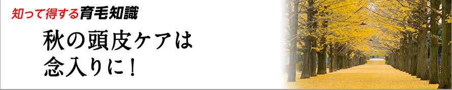 知って得する育毛知識　秋の頭皮ケアは念入りに！