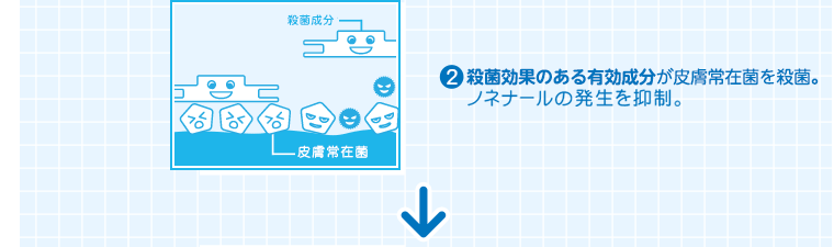 （2）殺菌効果のある有効成分が皮膚常在菌を殺菌。ノネナールの発生を抑制。