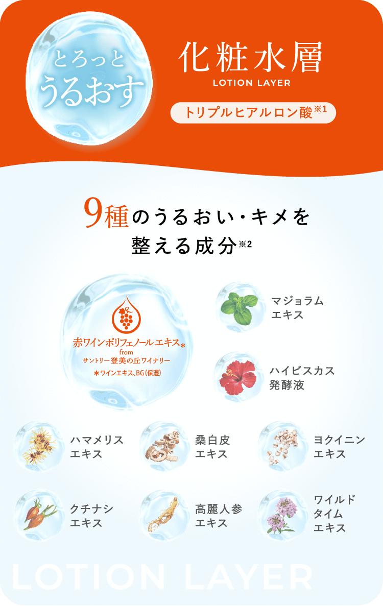 化粧水層 トリプルヒアルロン酸※1 9種のうるおい・キメを整える成分※2