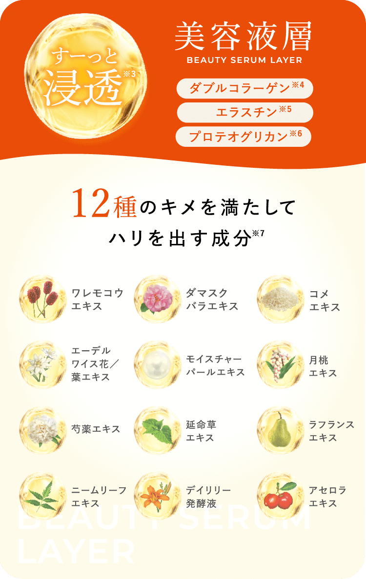 美容層 ダブルコラーゲン※4 エラスチン※5 プロテオグリカン※6 12種のキメを満たしてハリを出す成分※7