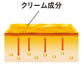 クリーム成分