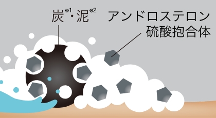 アンドロステロン硫酸抱合体を洗い流すイラスト