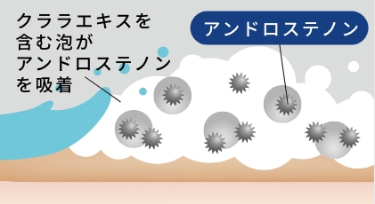 抗ノネナールPCのイラスト