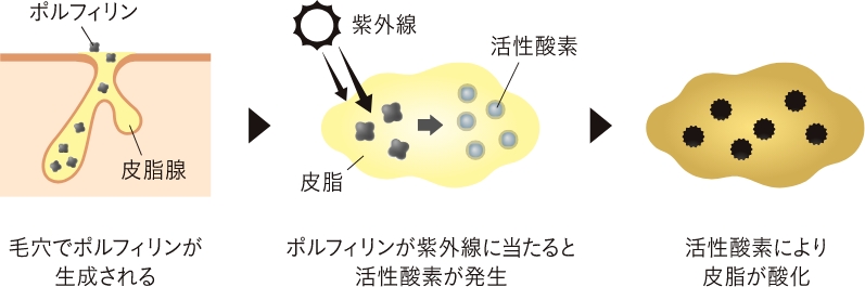 ポルフィリンの画像