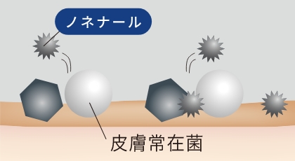 皮膚常在菌のイラスト