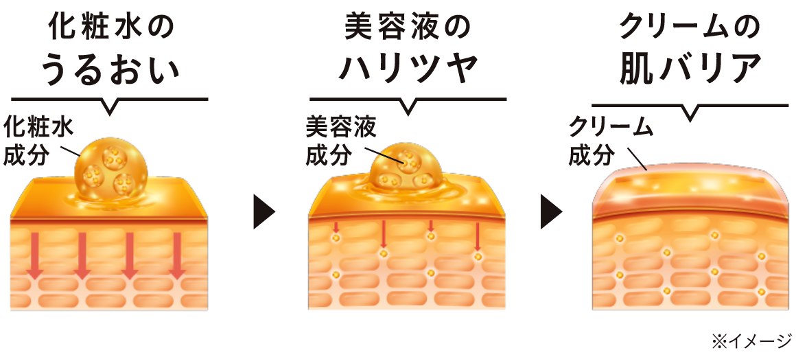 化粧水のうるおい 美容液のハリツヤ クリームの肌バリア