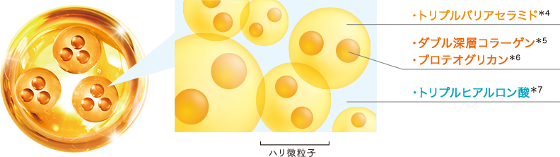 ・トリプルバリアセラミド*5 ・ダブル深層コラーゲン*6 ・プロテオグリカン*7 ・トリプルヒアルロン酸*8