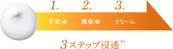 1.2.3.　3ステップ浸透＊1