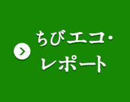 ちびエコ・レポート