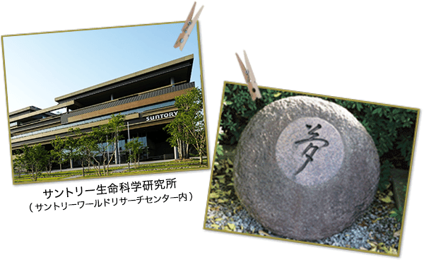サントリー生命科学研究所
