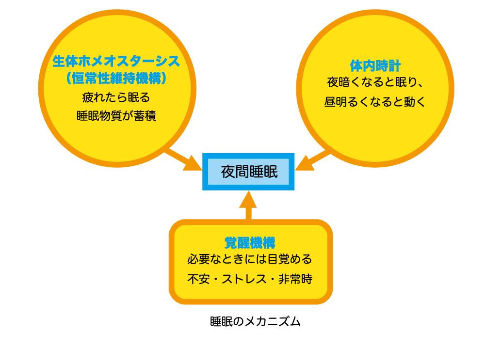 最近眠れない 寝ても目が覚めてしまう 悩みが多い高齢者の睡眠の特徴 サントリーグッドエイジングラボ 最近眠れない 寝ても目が覚めてしまう 悩みが多い高齢者の睡眠の特徴 サントリーグッドエイジングラボ